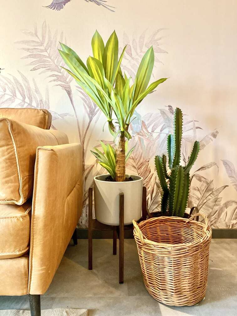 proyecto-blanco-rincon-studio